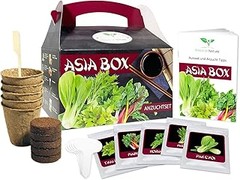 Evita estos errores al usar kits para cocina tailandesa en casa