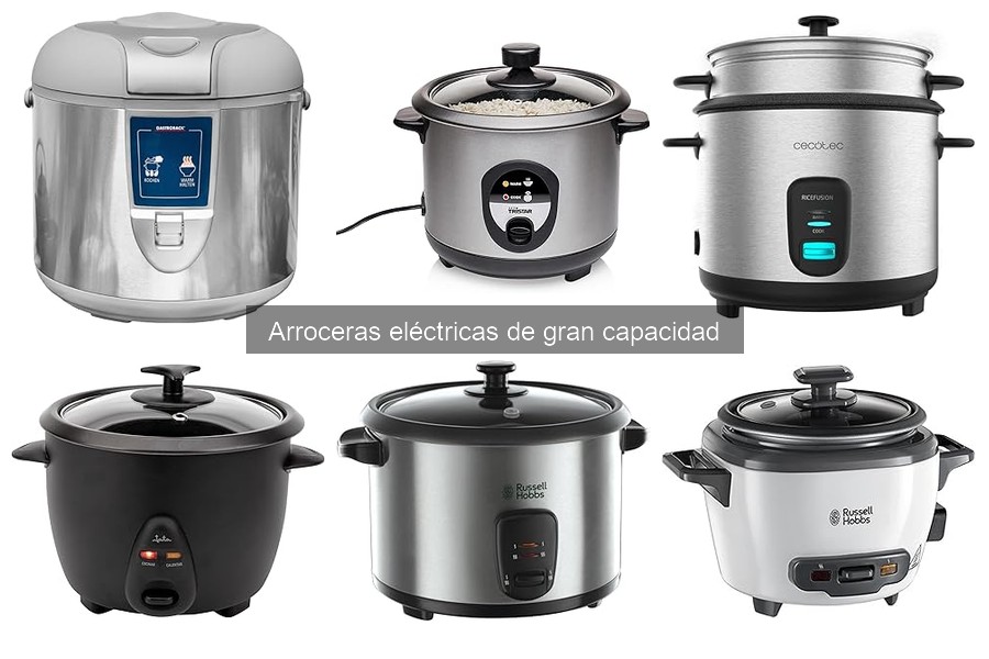 Alternativas a arroceras eléctricas de gran capacidad