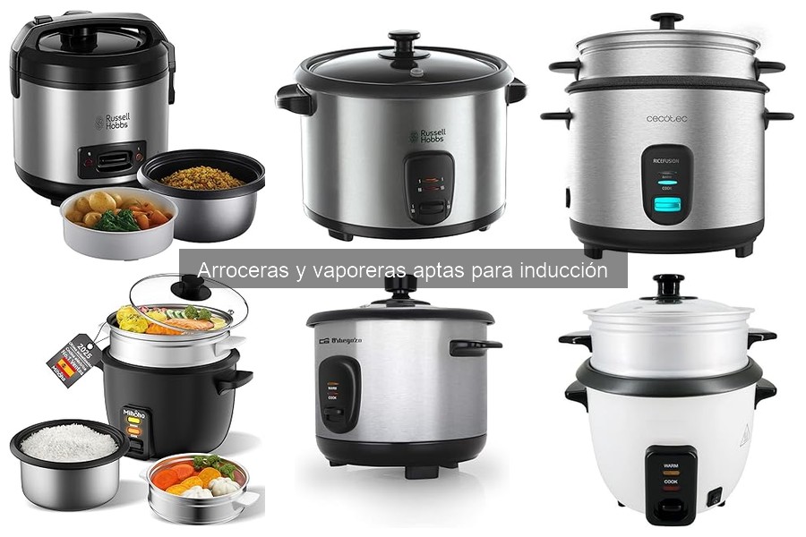Alternativas a la arrocera de inducción para cocer arroz