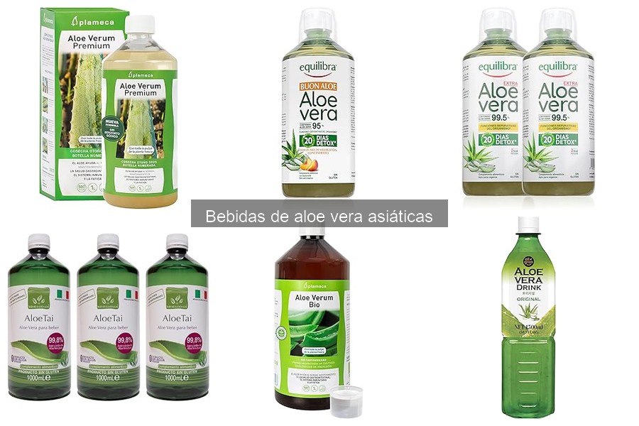 Alternativas a la bebida de aloe vera asiática: Descubre otras opciones