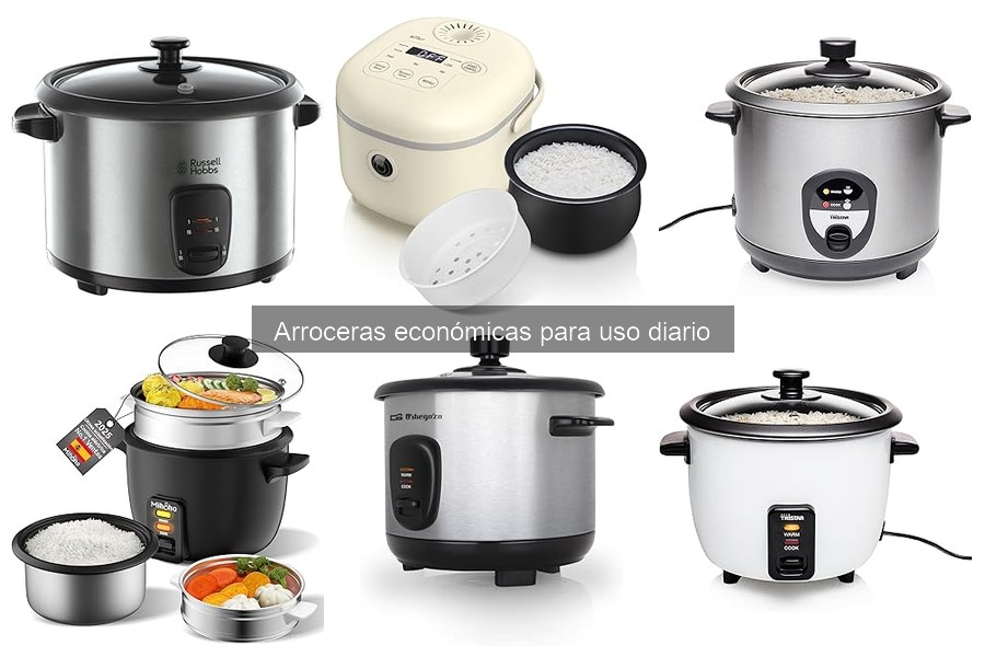 Alternativas a las Arroceras Económicas para Cocinar Arroz