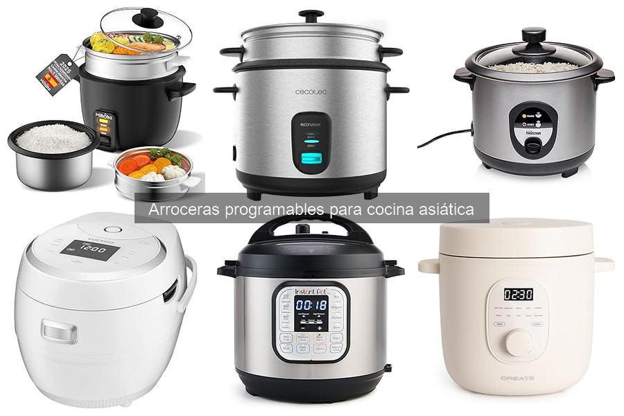 Alternativas a las Arroceras Programables para Cocinar Arroz