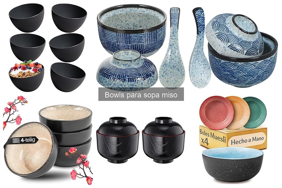 Cómo elegir el mejor bowl para sopa miso: guía de compra