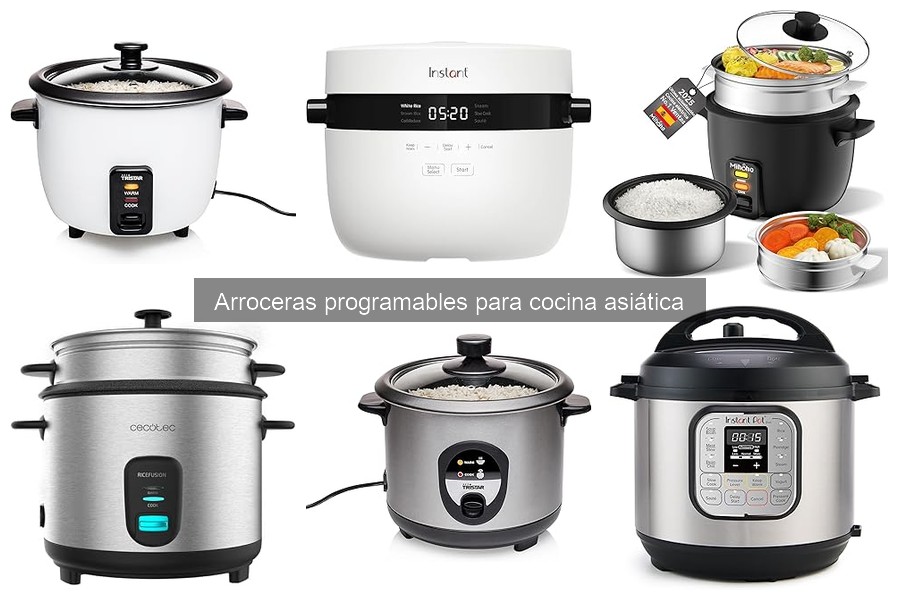 Cómo elegir la arrocera programable perfecta para tu cocina