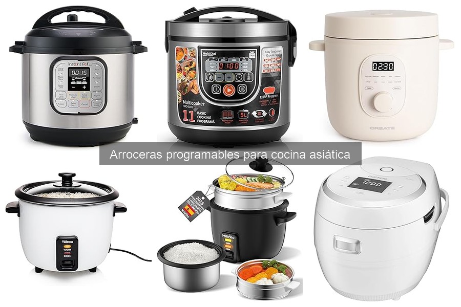 Cómo Programar Correctamente una Arrocera Programable