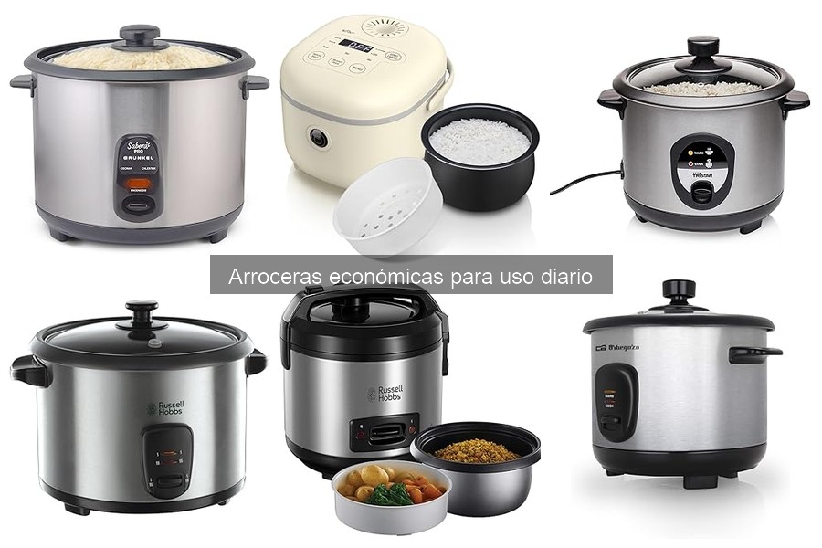 ** Cómo utilizar una arrocera económica: guía práctica