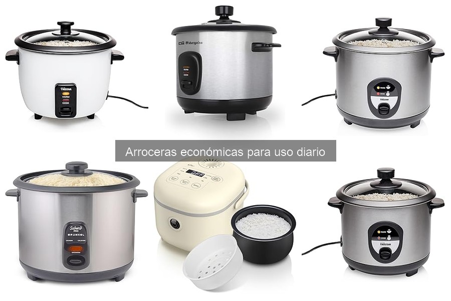 Comparativa de arroceras económicas: marcas populares analizadas