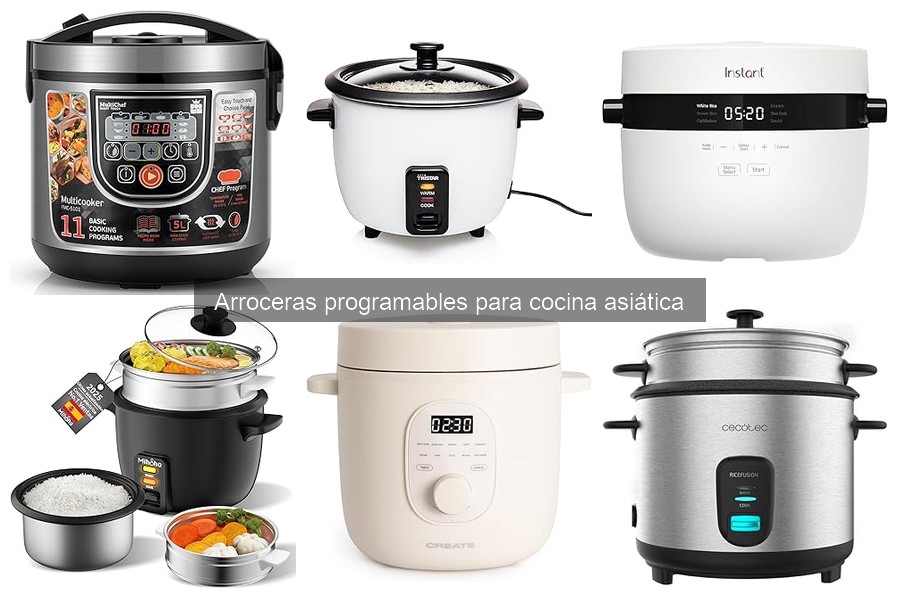 Comparativa de arroceras programables con cocción lenta