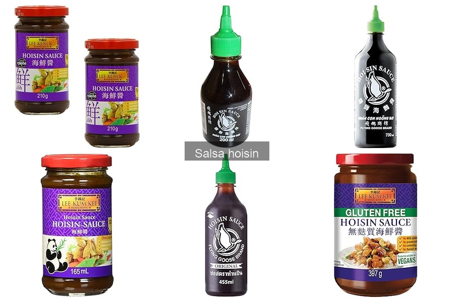 Comparativa de Salsa Hoisin y Otras Salsas Asiáticas