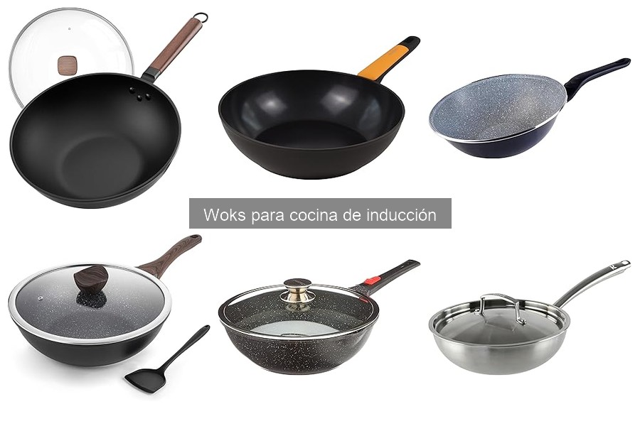¿Cuánto cuesta un buen wok para inducción? Precios y características