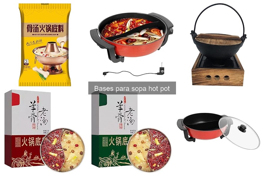 Descubre los tipos de bases para sopa hot pot en casa