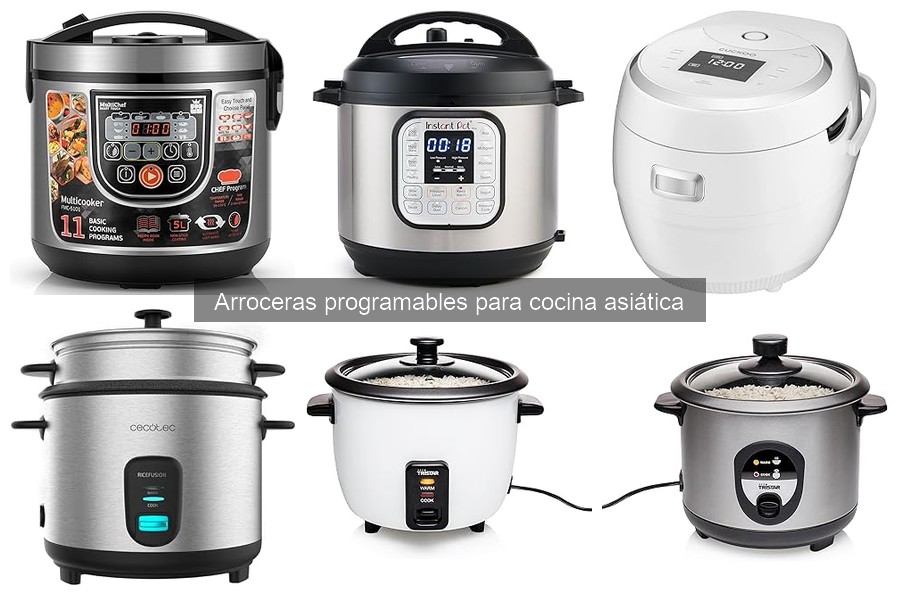 Desmitificando mitos sobre arroceras programables