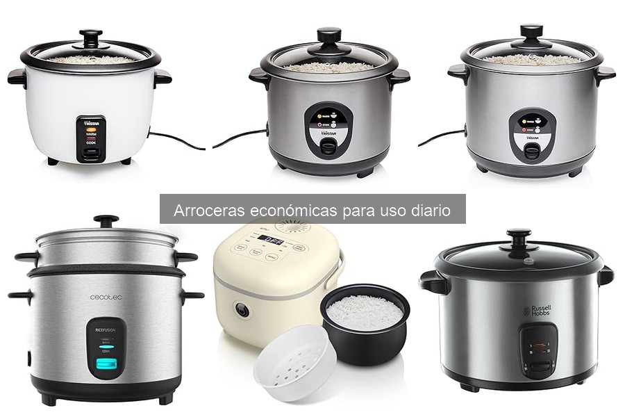 Donde comprar arroceras económicas a buen precio