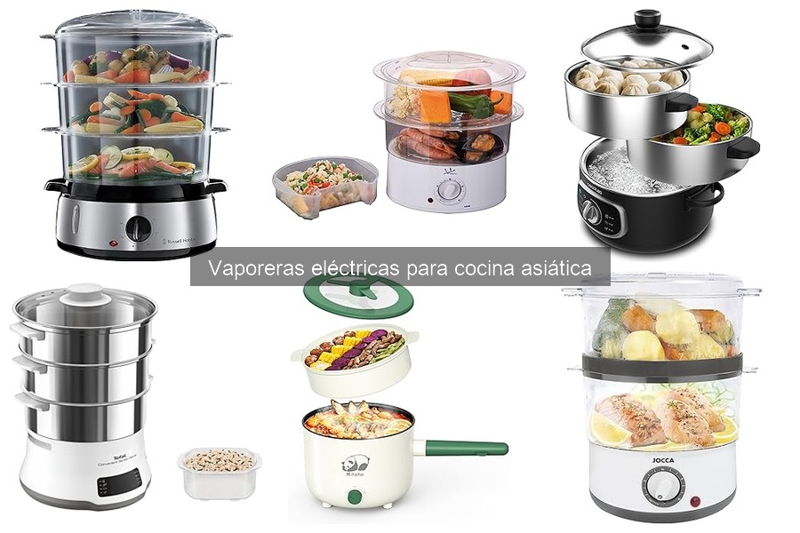 Dónde comprar vaporeras eléctricas para cocina asiática