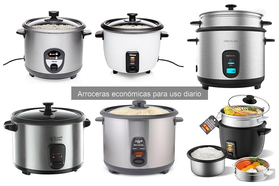 Guía de compra de arroceras económicas para uso diario