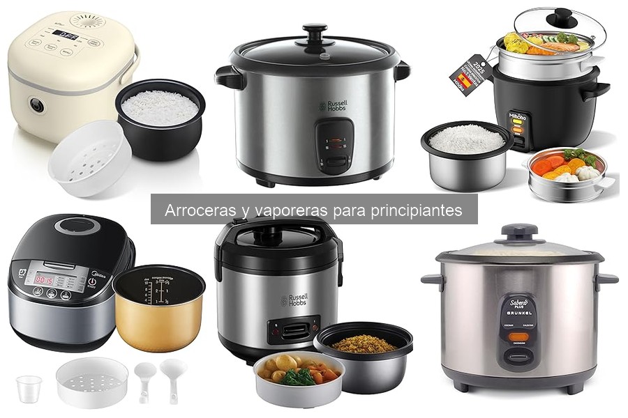Mantenimiento y limpieza de arroceras: consejos prácticos