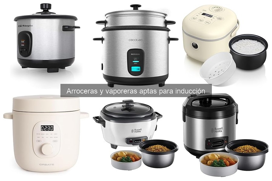 Mejores lugares para comprar una arrocera apta para inducción