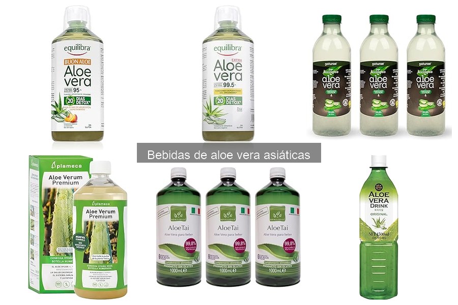 Mejores marcas de bebida de aloe vera asiática 2023