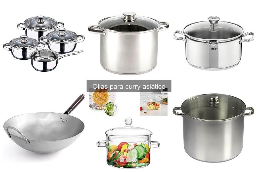 Mejores marcas de ollas para curry asiático en 2023