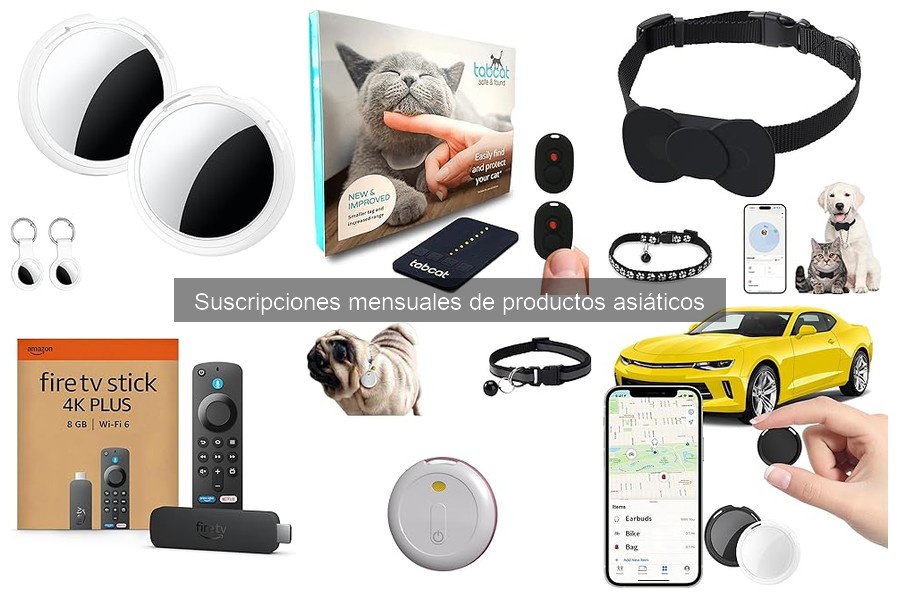 Mejores servicios de suscripción de productos asiáticos 2023