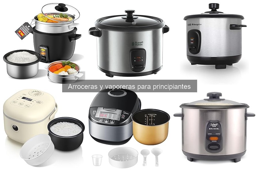 Opiniones sobre arroceras: Russell Hobbs y más