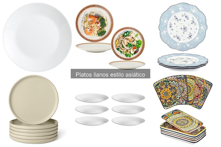 Platos llanos estilo asiático: características y variedad