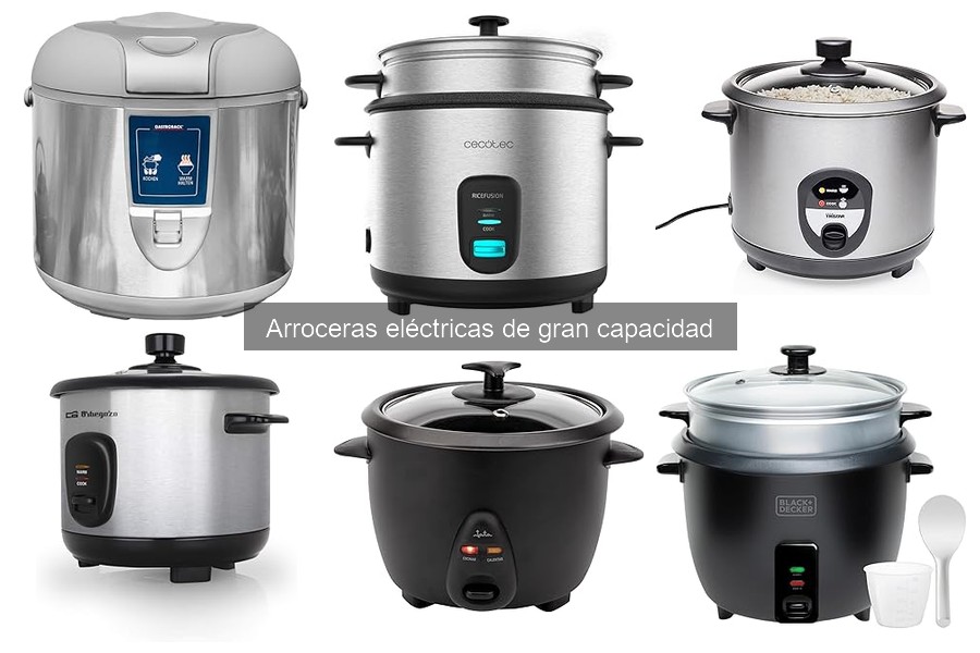 Precios de arroceras eléctricas de gran capacidad en Amazon