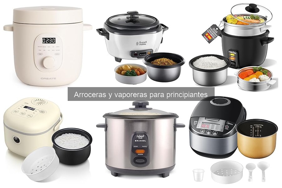 Precios de Arroceras para Principiantes: Guía Actualizada