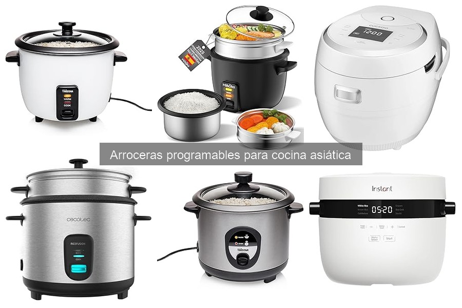 Problemas comunes con arroceras programables y soluciones