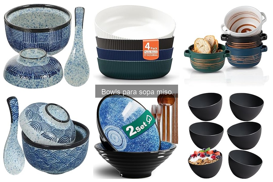 ¿Qué es un bowl para sopa miso? Características y usos