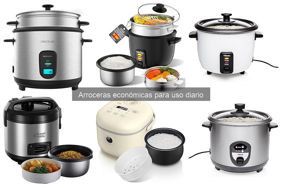 ¿Qué es una arrocera económica? Características y ventajas
