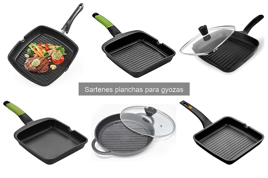 ¿Qué es una sartén plancha para gyozas? Características clave