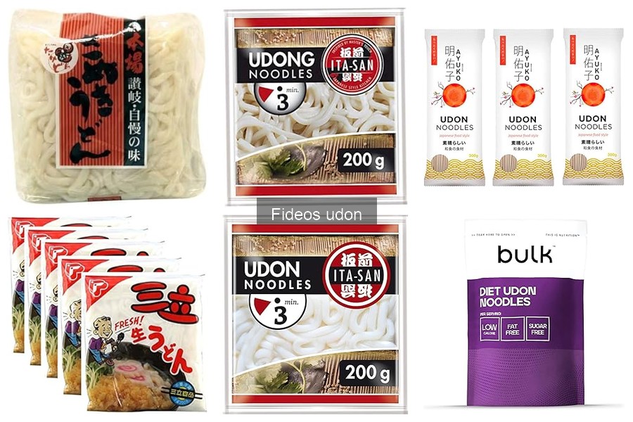 Qué son los fideos udon: orígenes y características