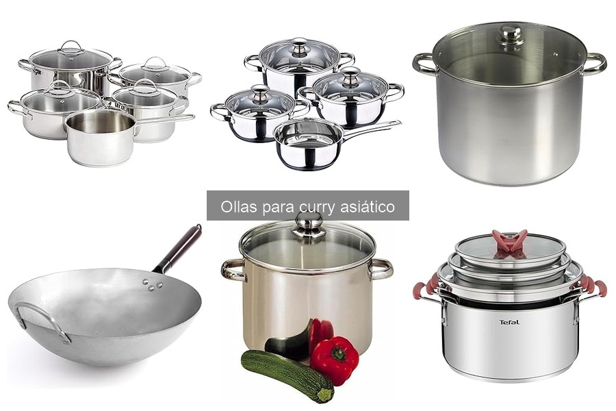 Recetas Clásicas para Ollas de Curry Asiático