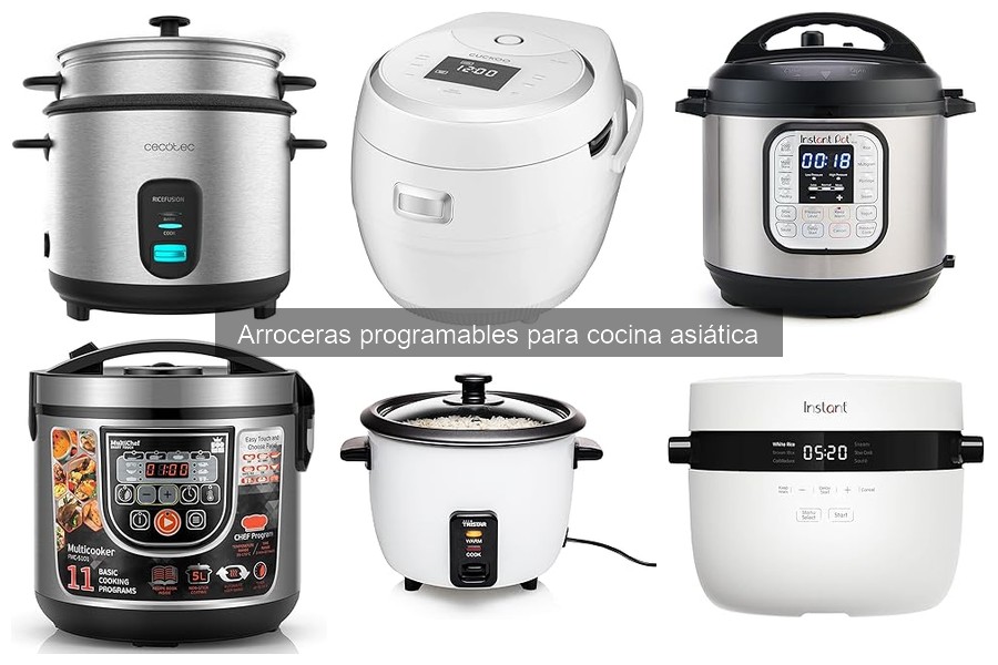 Recetas deliciosas para preparar en arroceras programables