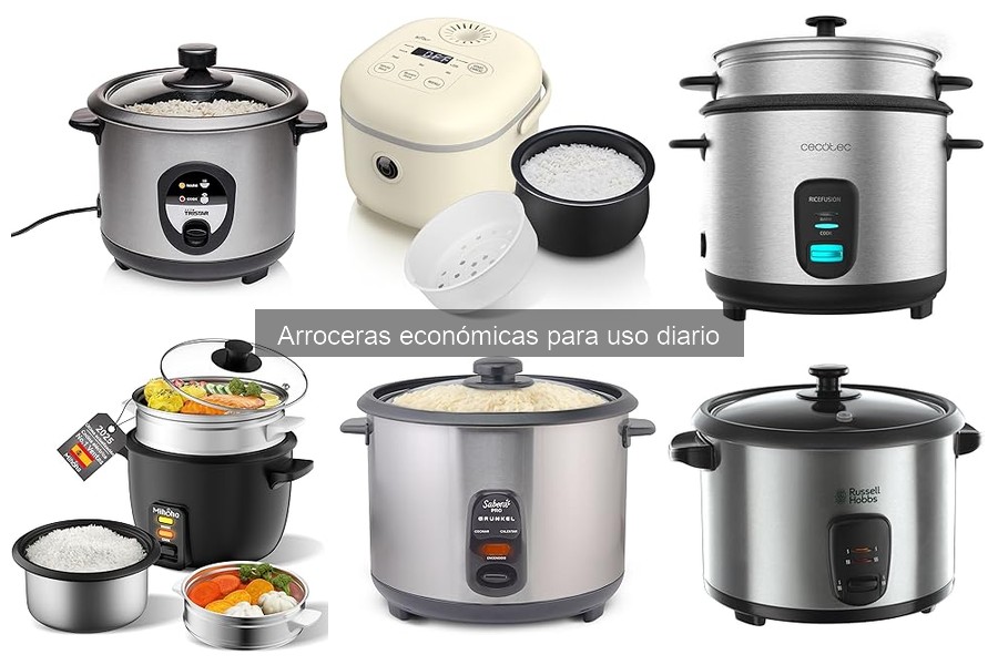 Recetas fáciles en arrocera económica para uso diario