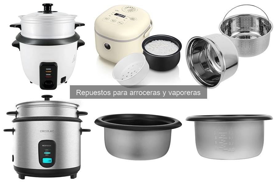 Repuestos para Arroceras y Vaporeras: Tipos y Compatibilidad