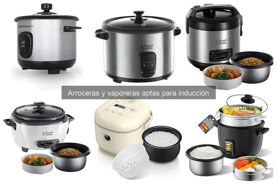 Soluciona Problemas Comunes de Arroceras de Inducción
