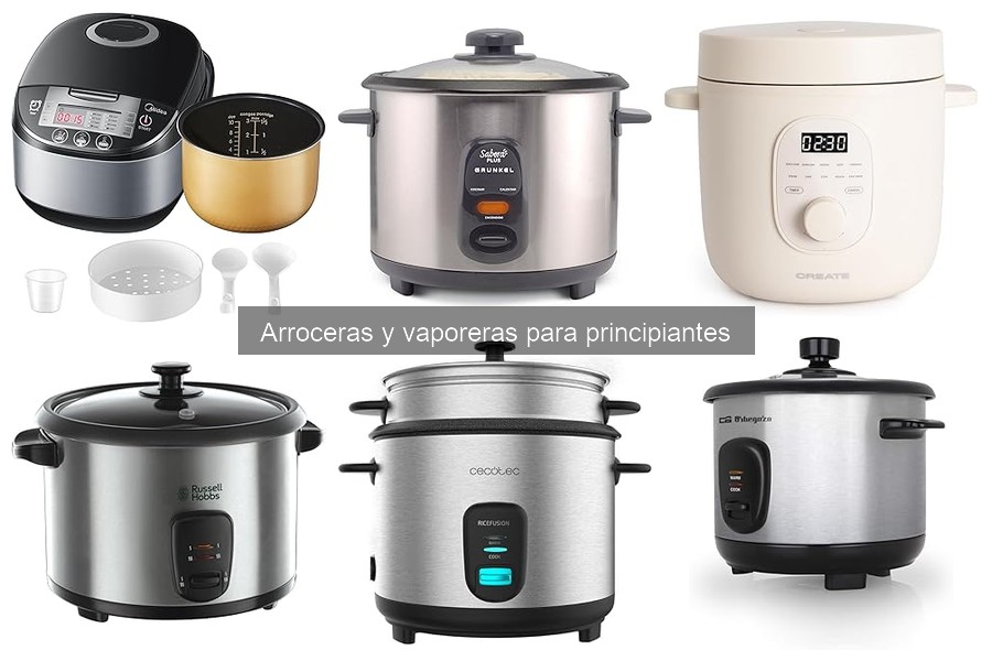 Tipos de arroceras para principiantes: guía completa