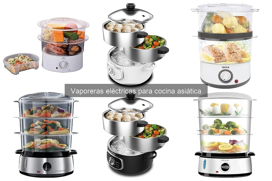 Tipos de vaporeras eléctricas para cocina asiática