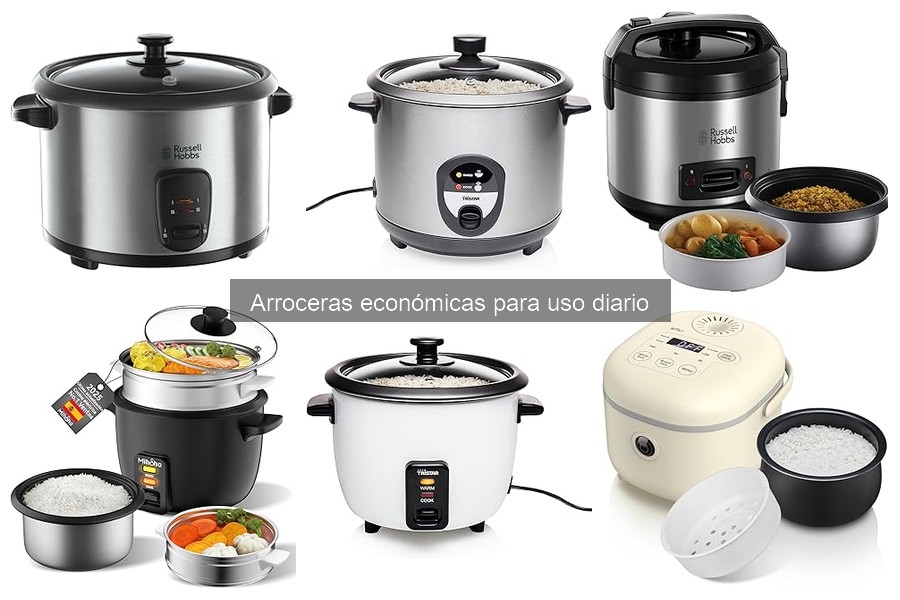 Ventajas y desventajas de arroceras económicas para diario