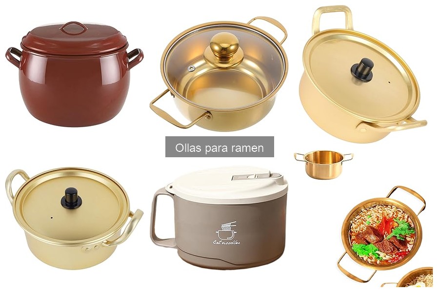 Ventajas y desventajas de las ollas para ramen